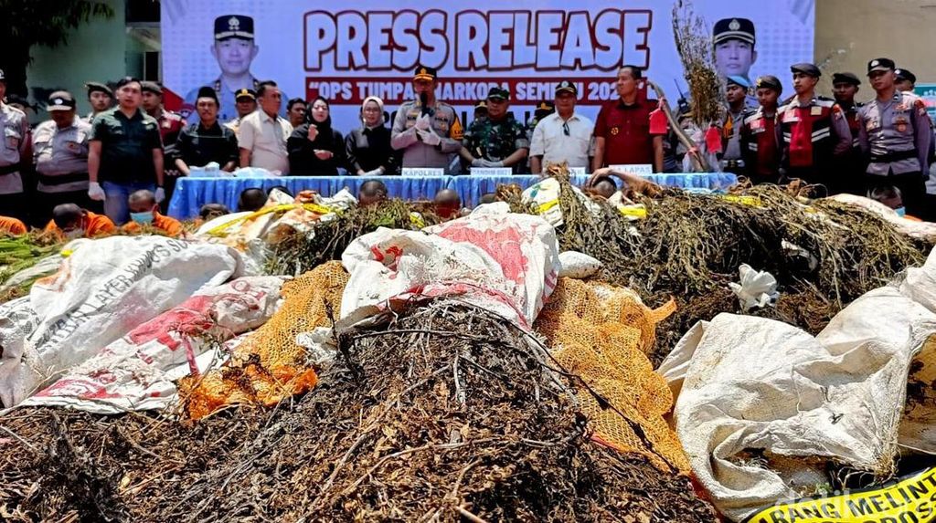 Pengungkapan Ladang Ganja di Lumajang